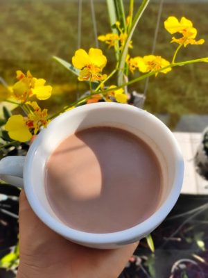 HỖ TRỢ SỨC KHỎE